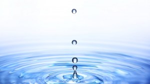 greeting_img003