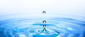 top_bg001_2