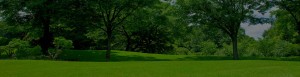 top_bg006